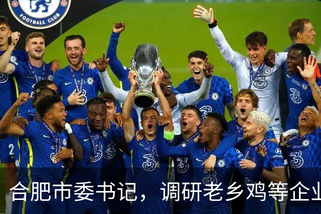 合肥市委书记，调研老乡鸡等企业