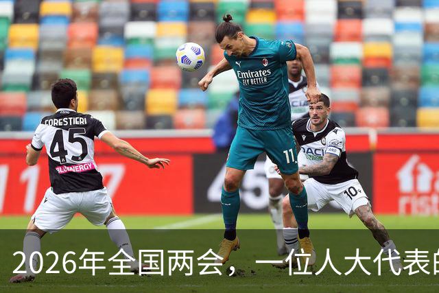 2026年全国两会，一位人大代表的话，精准戳中了养老金差距的痛点